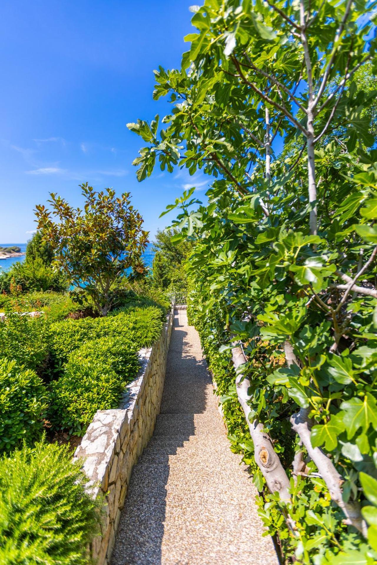 Apartment Smokvina Punat Dış mekan fotoğraf